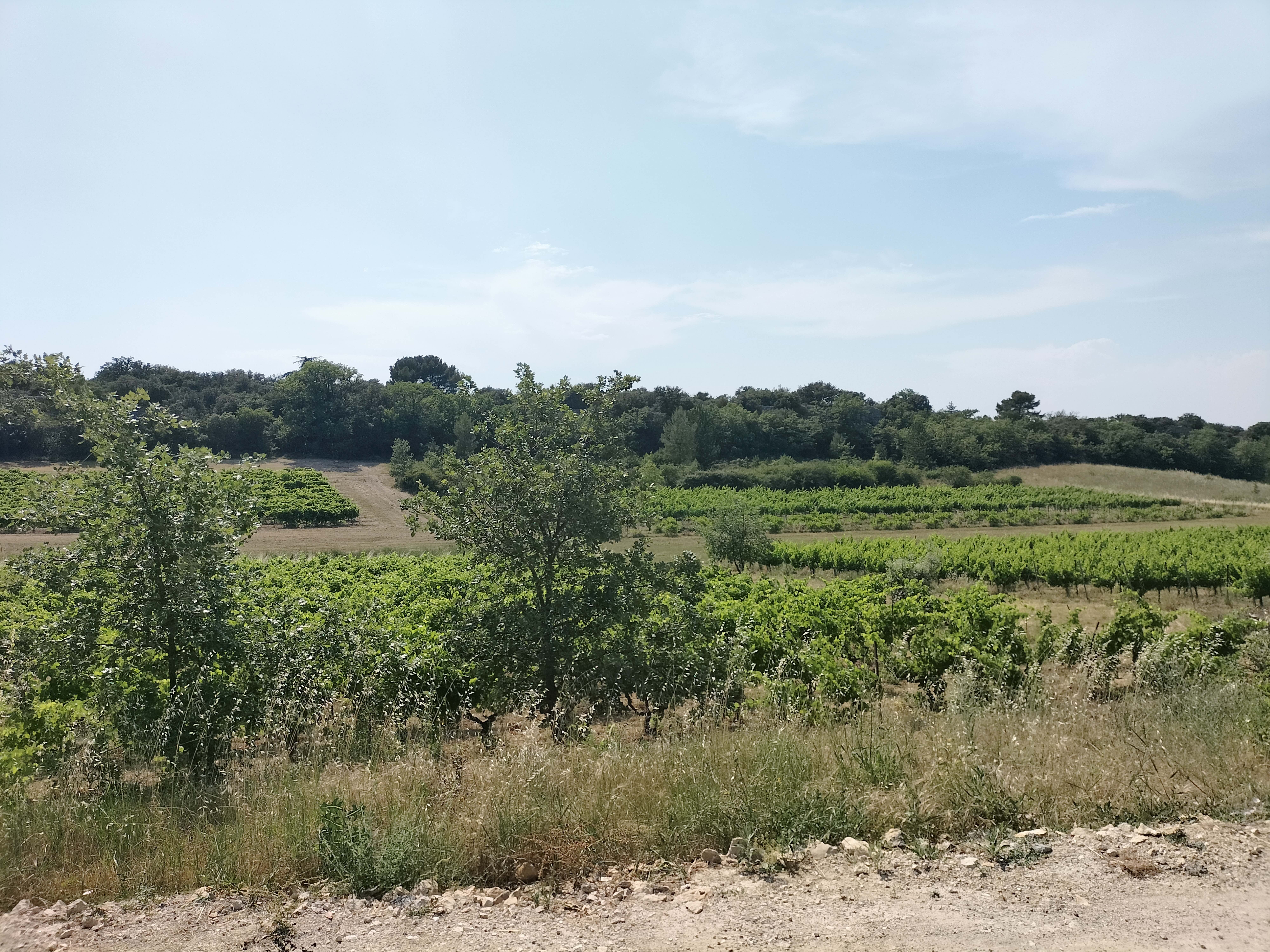 Aire camping-car  Villes-sur-Auzon (84570) - Photo 2